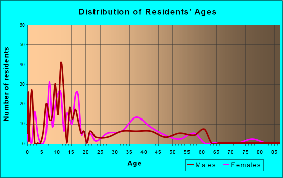 Rock Point, Arizona Age and Sex of Residents
