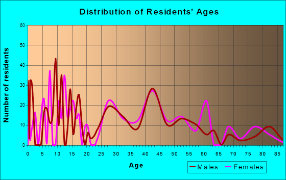 Sturbridge, Massachusetts Age and Sex of Residents