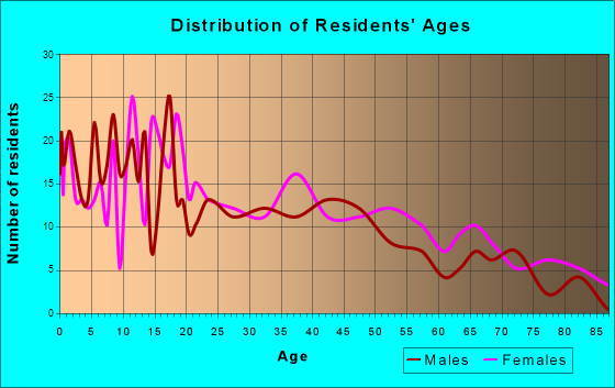 Bangor, Michigan Age and Sex of Residents