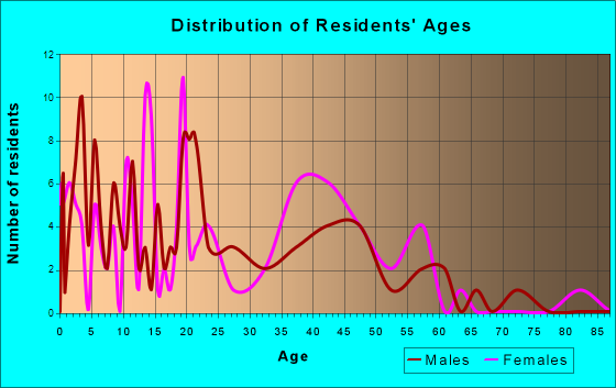 Bloomingdale, Michigan Age and Sex of Residents
