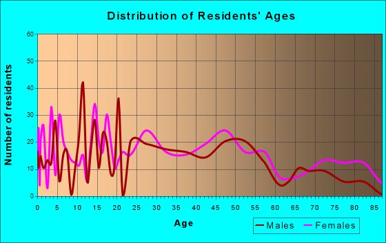 Chesaning, Michigan Age and Sex of Residents