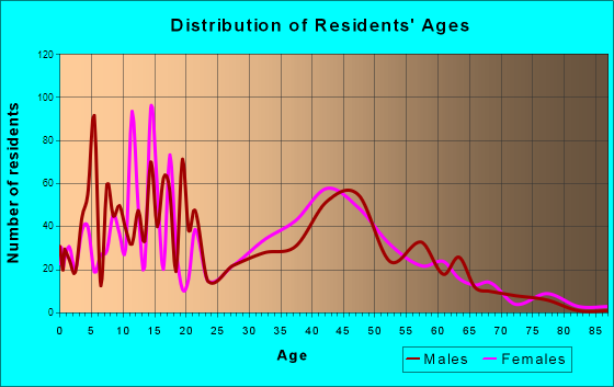 De Witt, Michigan Age and Sex of Residents