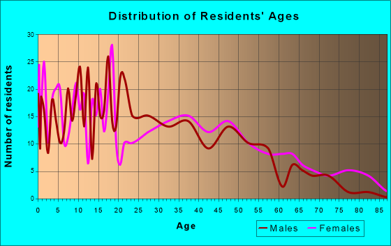 Homer, Michigan Age and Sex of Residents