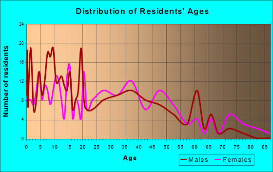 Laingsburg, Michigan Age and Sex of Residents