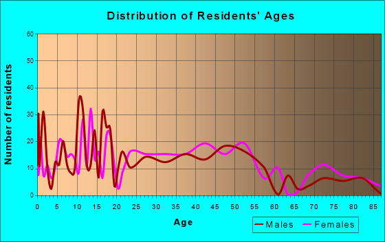 Manchester, Michigan Age and Sex of Residents