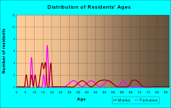 Turner, Michigan Age and Sex of Residents