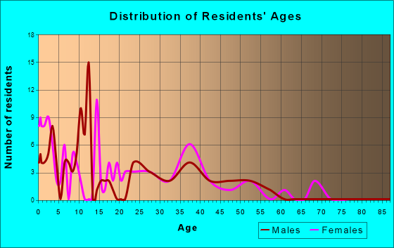 Bethel, Minnesota Age and Sex of Residents