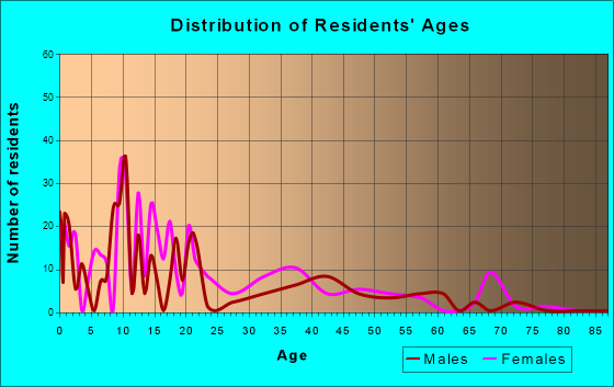 Little Rock, Minnesota Age and Sex of Residents