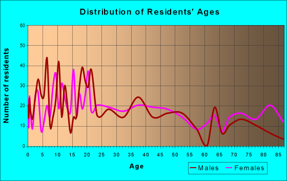 Pine City, Minnesota Age and Sex of Residents
