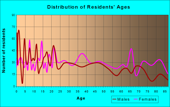 Salem, Missouri Age and Sex of Residents