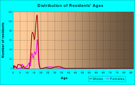 Boys Town, Nebraska Age and Sex of Residents