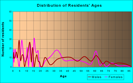 Indian Springs, Nevada Age and Sex of Residents