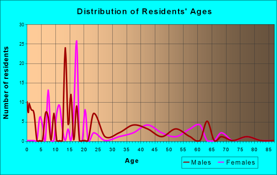 Brimhall Nizhoni, New Mexico Age and Sex of Residents