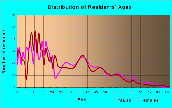 Dulce, New Mexico Age and Sex of Residents