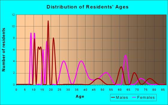 Pueblo Pintado, New Mexico Age and Sex of Residents
