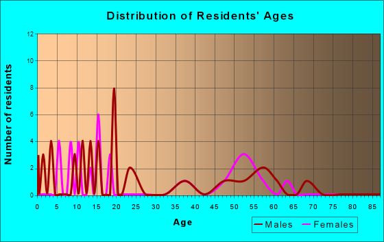 Rincon, New Mexico Age and Sex of Residents