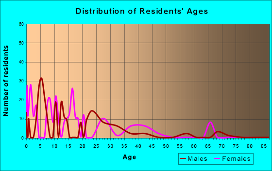 Rock Springs, New Mexico Age and Sex of Residents