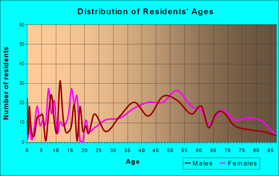 Bellport, New York Age and Sex of Residents