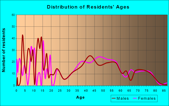 Big Flats, New York Age and Sex of Residents