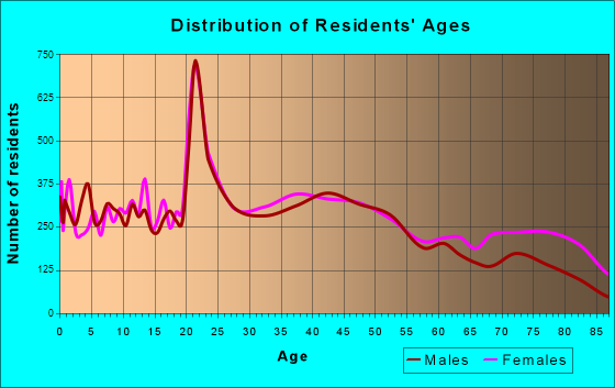 Binghamton, New York Age and Sex of Residents