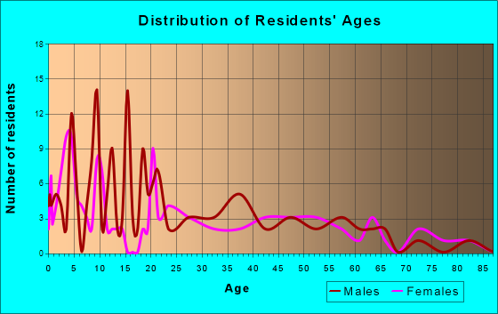 Bridgewater, New York Age and Sex of Residents
