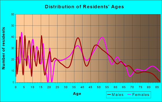 Brookhaven, New York Age and Sex of Residents