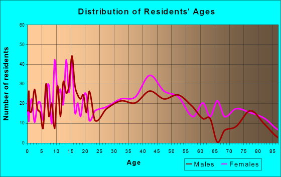 Homer, New York Age and Sex of Residents