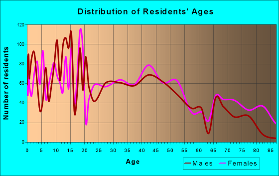 Hornell, New York Age and Sex of Residents
