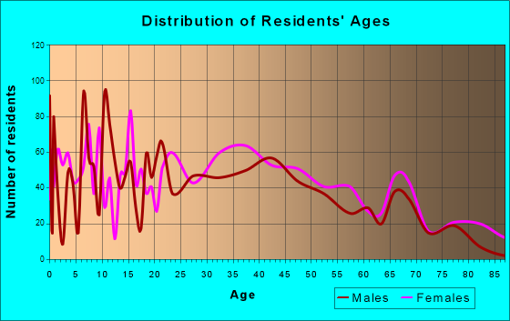 Hudson Falls, New York Age and Sex of Residents