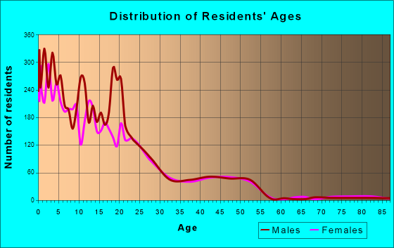 Kiryas Joel, New York Age and Sex of Residents