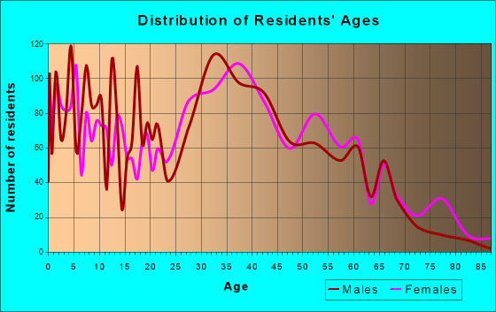 Lake Grove, New York Age and Sex of Residents