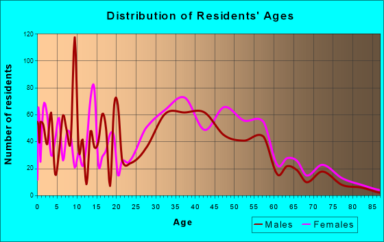 Mount Ivy, New York Age and Sex of Residents