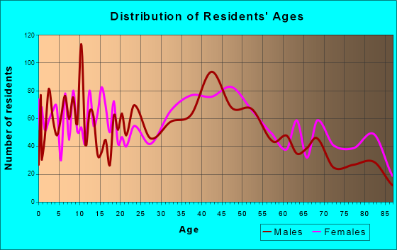 New Hyde Park, New York Age and Sex of Residents