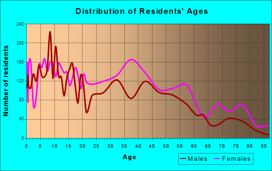 North Amityville, New York Age and Sex of Residents