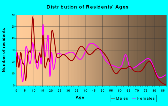 Owego, New York Age and Sex of Residents
