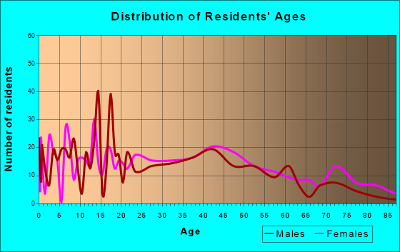 Phoenix, New York Age and Sex of Residents