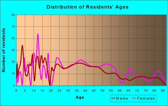 Ravena, New York Age and Sex of Residents