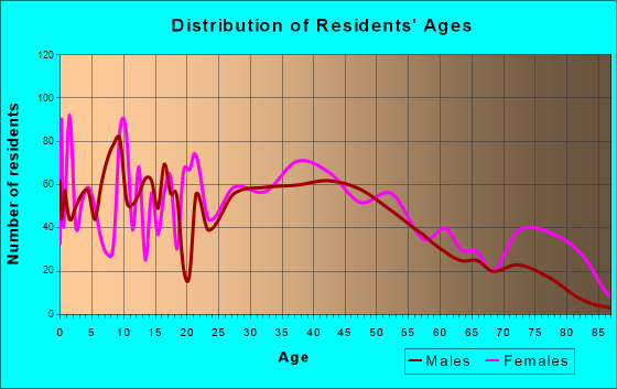 Rensselaer, New York Age and Sex of Residents