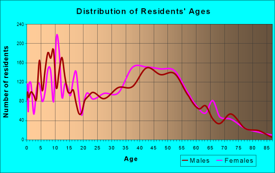 Setauket-East Setauket, New York Age and Sex of Residents