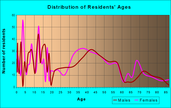 South Hempstead, New York Age and Sex of Residents