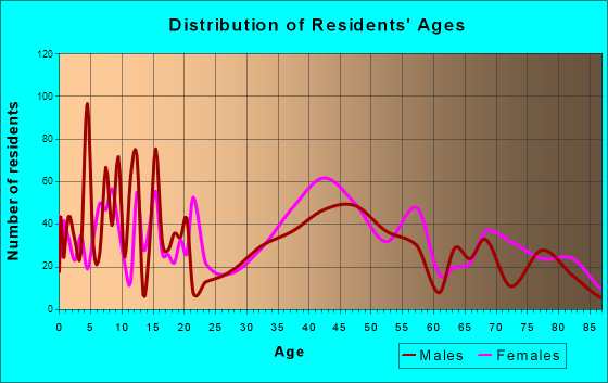 South Valley Stream, New York Age and Sex of Residents