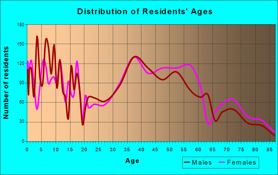 Stony Brook, New York Age and Sex of Residents