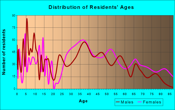 King, North Carolina Age and Sex of Residents