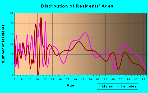 Minerva, Ohio Age and Sex of Residents