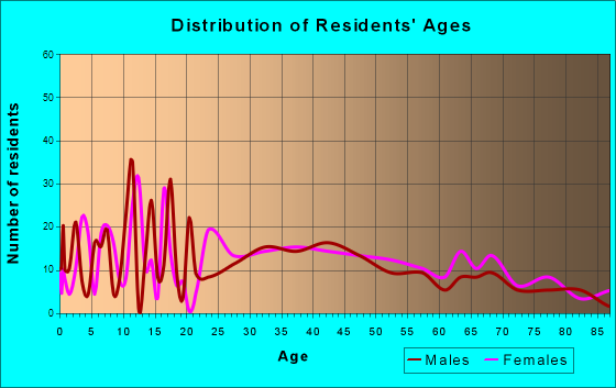Bellwood, Pennsylvania Age and Sex of Residents