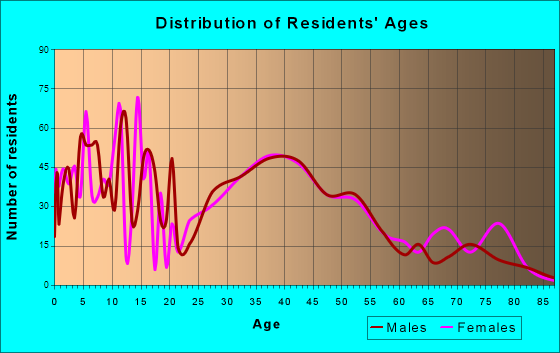 Birdsboro, Pennsylvania Age and Sex of Residents
