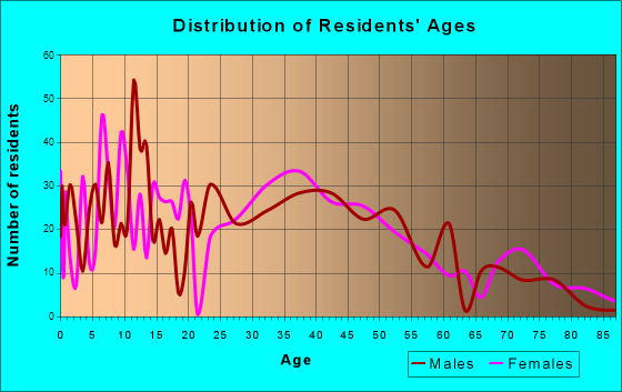 Denver, Pennsylvania Age and Sex of Residents