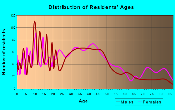 Downingtown, Pennsylvania Age and Sex of Residents