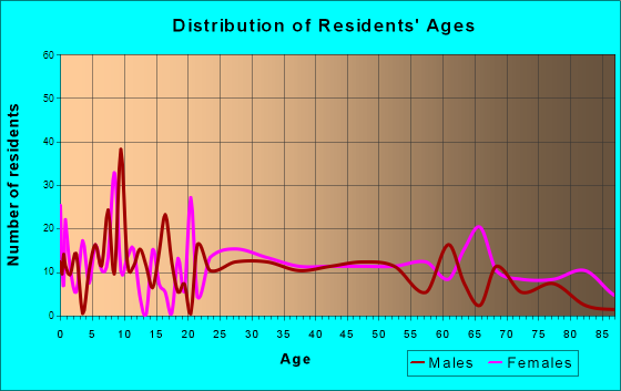 Everett, Pennsylvania Age and Sex of Residents