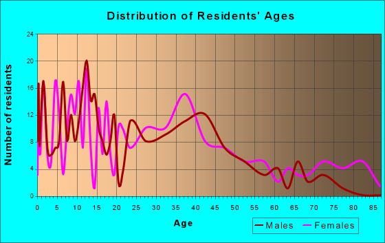 Honey Brook, Pennsylvania Age and Sex of Residents